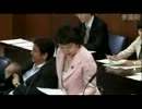 2012年07月26日【参議院】外交防衛委員会 猪口邦子(自民党)