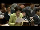 2012年07月26日【参議院】税一体改革特別委員会 田村智子(共産党)