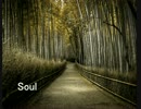【オリジナル】Soul