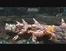 拳闘士で行くpso2の旅【キャラドラン】