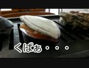 ムック(ZZR400)で行く！岩牡蠣を食べに銚子に行こう！ツーリング③
