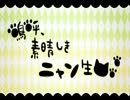 嗚呼、素晴らしきニャン生コラボするとこうなりました。