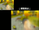 腐ってても腐らず「マリオカートWii」実況プレイ part.57 【れんたろう杯】