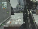 【CoD:MW3】ライオットシールドでDomination