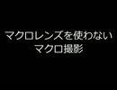 写真撮影技術02「マクロレンズを使わないマクロ撮影」