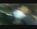 阪神7連敗脱出の瞬間のビアガーデンで？？