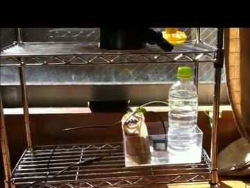 ◆作ってみた、植物工場