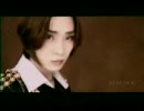 韓国産V系　Angel Heart - scarlet eyes