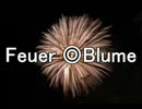 【APヘタリア】『Feuer◎Blume』歌ってみた【CSK】