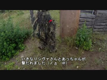 ビビリな俺がサバゲー定例会に参加してみた　12.06.23 攻防戦