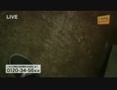 s33.wmv