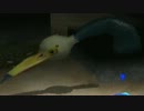 【鬼畜縛り実況】ピクミン２　プロフェッショナル　縛りの流儀　Part10