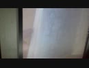 크립톤 보컬로이드3 하츠네 쿠로 브륜스터드-쿠로트루 쿠로테이션  쿠로.avi
