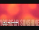 【歌ってみた】You're my sunshine 安室奈美恵【演奏してみた】