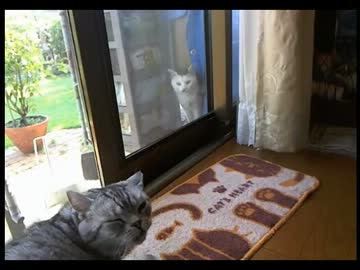 夏の日の午後