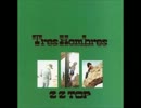ZZ Top - Beer Drinkers & Hell Raisers (1973)