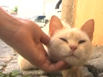 けつせか -スペイン＆ポルトガル編①-２-