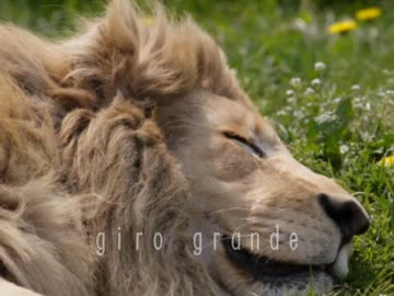 【NNIオリジナル】giro grande【インスト】