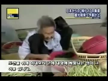 朝鮮に降伏した日本の武将の子孫