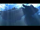 【FF10】動画で見るFF10　Part.022