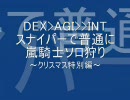 【RO】DEX＞AGI＞＞INTスナイパーで普通に嵐騎士ソロ狩り
