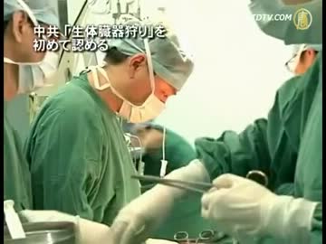 【新唐人】中共 「生体臓器狩り」を初めて認める