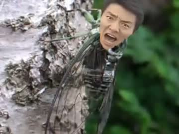 うみんみんゼミ