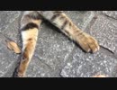 ぶらり一人旅にて
