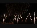 【花火】2012長岡まつり大花火大会 ~2日目~ 3/22 シャイニング with Sony α-65