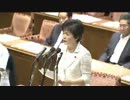 2012年08月07日【衆議院】震災復興特別委員会 石田祝稔・高木美智代