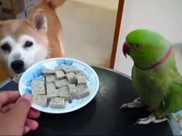 りょうソンの夏(１２年８月４日)