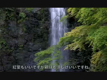 【日本の滝百選】箕面大滝まで散歩してきました。