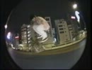 PRIME FIGHT FIRE WITH FIRE - ShinOkada