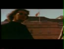SPITFIRE - Wild Sunshine
