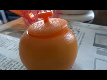 ハムスターに遊んでもらった