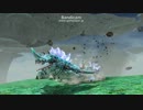【PSO2】対ランサくんしまむら装備で頑張るの巻