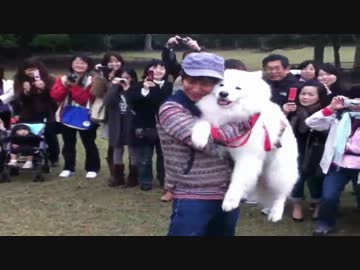 ZIPPEIありがとう in 奈良