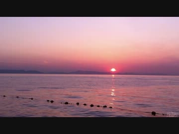 水中カメラ沈めてみた16　大阪の海釣り公園で巨大真鯛を追う！水中映像