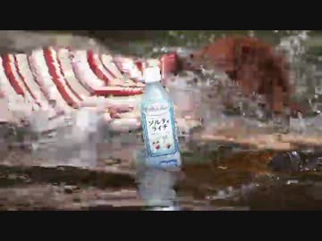 ソルティダイブ