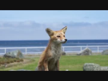 北海道ツーリング2012　Part1