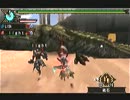 【MHP3】恐暴の宴 片手剣×双剣 4'58"56【ガチTA】