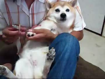 恐怖の爪切り(１２年８月１１日)