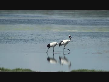 北海道ツーリング2012　Part2