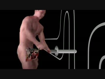 電流イライラ棒に挑戦する先輩