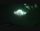 京都宇治川花火大会【2012.08.12】
