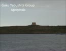 Gaku Yabushita Group 「Big Bang」