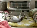 一姫二太郎 その29