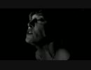 Feist－Anti　Pioneer