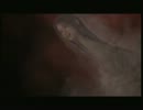 【SIREN2】サイレンが再び鳴り響く午後0時過ぎ【実況プレイ】part16