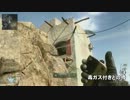 CoD:BO2のリーク情報をまとめてみた
